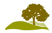 Paradise Valley Estates Tree Logo
