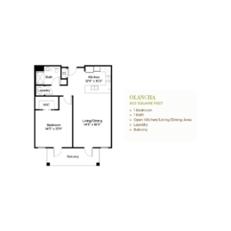 Olacha Floorplan - Paradise Valley Estates