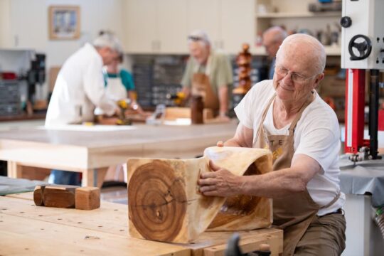 Lifelong Learning for Healthy Aging