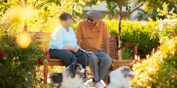 A photo of a lady and a man sit on a bench, sharing a touching moment. Their dogs stare out in the distance, captivated by Paradise Valley Estates' beauty.