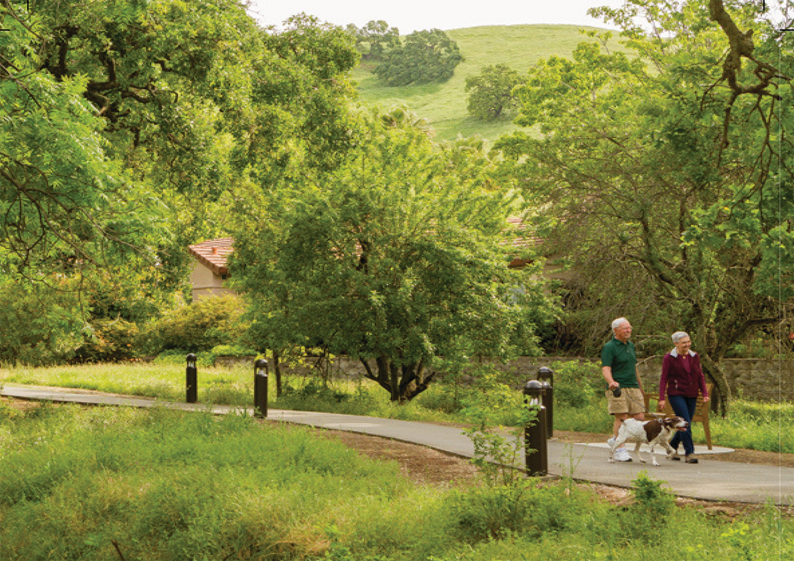 Discover Paradise Valley Estates: A Walking Tour